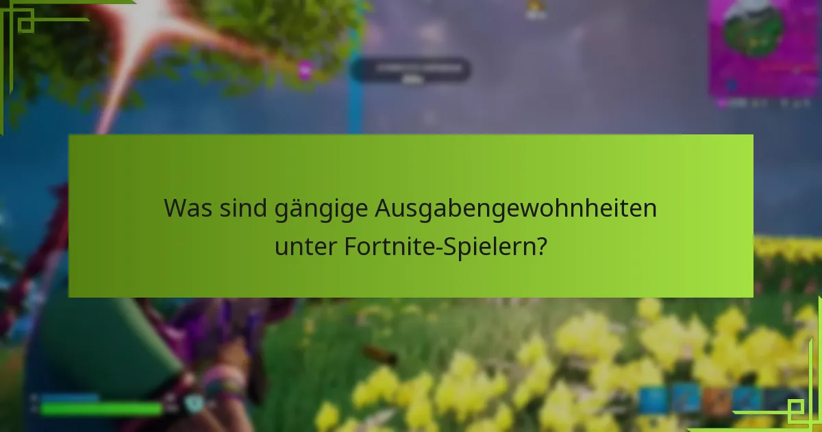 Was sind gängige Ausgabengewohnheiten unter Fortnite-Spielern?